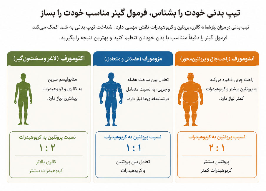 مقایسه سه تیپ بدنی برای ساخت گینرخانگی